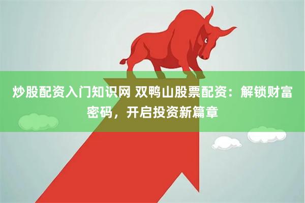 炒股配资入门知识网 双鸭山股票配资：解锁财富密码，开启投资新篇章